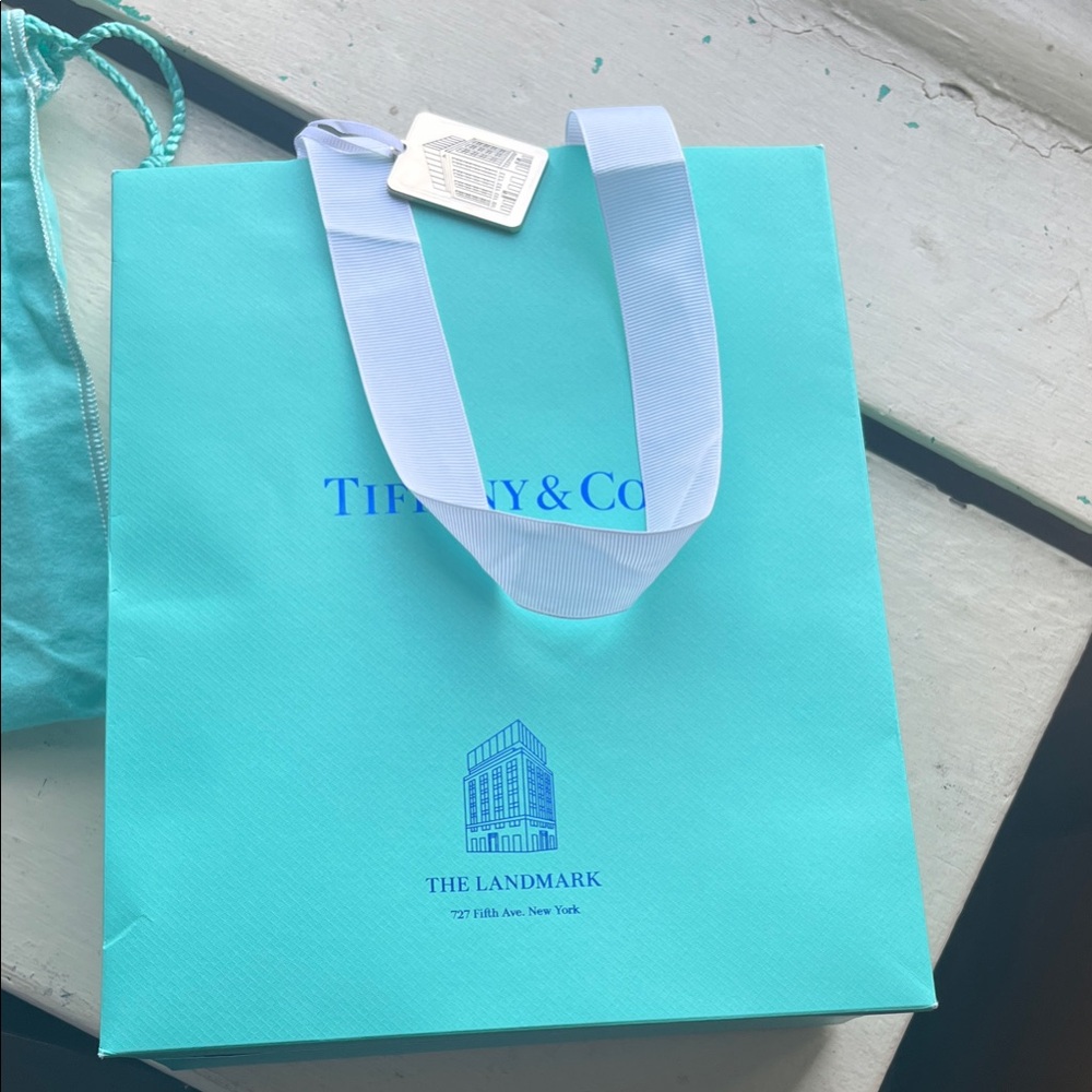 Tiffany & Co. Robin's Egg Blue Shopping Bag with White Handles